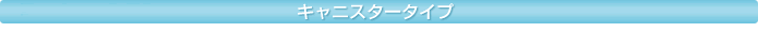 �L���j�X�^�[�^�C�v