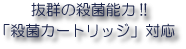 �E�ۃ{�[���J�[�g���b�W