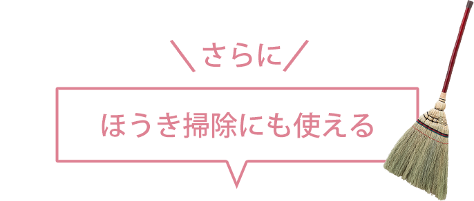 ق|ɂg