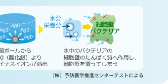 Eۃ{[J[gbW